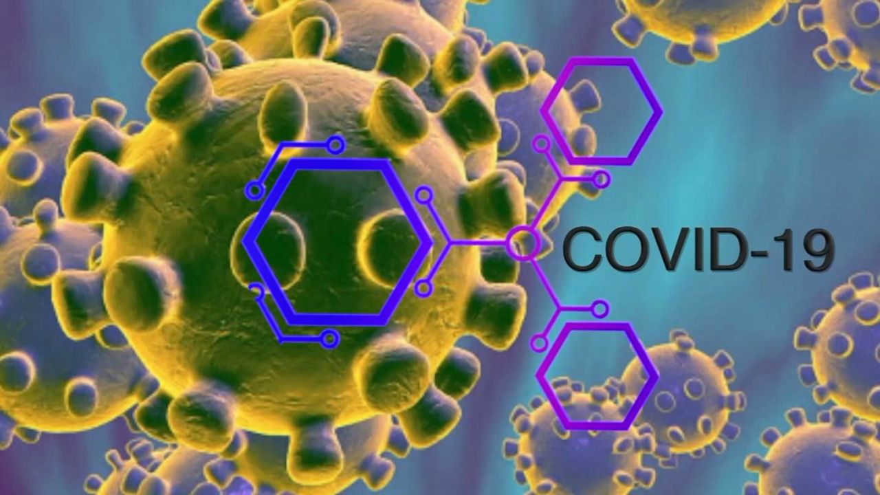 covid 19 coronavirus FFESSM